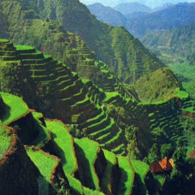Banaue